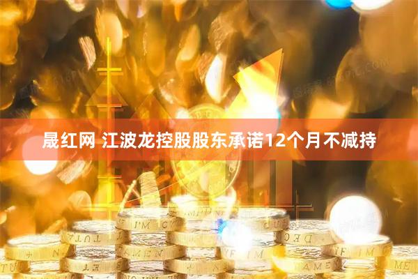 晟红网 江波龙控股股东承诺12个月不减持