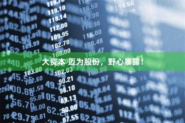 大资本 迈为股份，野心暴露！